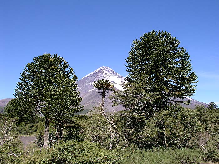 AC0304EP196_huechahue_trek.jpg [&copy; Last Frontiers Ltd]