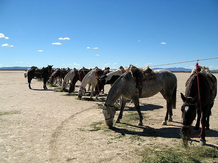 AR0310JW054_trans-continent-ride.jpg [&copy; Last Frontiers Ltd]