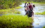 Rincon del Socorro - The Iberá Marshlands, Argentina