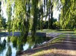 Image: Viñas del Golf - Mendoza, Argentina