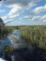 Image: Pirá Lodge - The Iberá Marshlands, Argentina