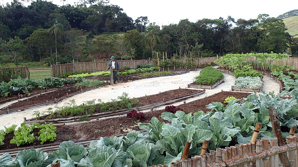 BR0519NR0526_ibitipoca-engenho-organic-vegetable-garden.jpg [&copy; Last Frontiers Ltd]
