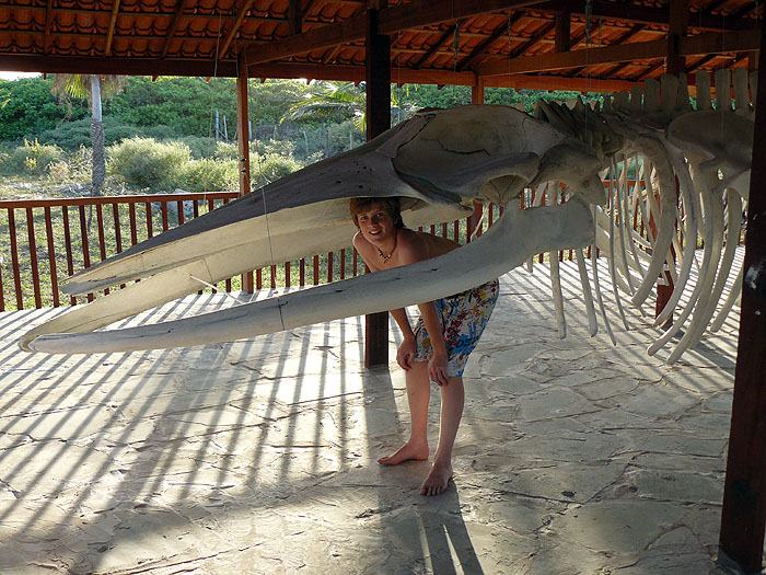 BR0808FP243_ilha-do-caju.jpg [&copy; Last Frontiers Ltd]
