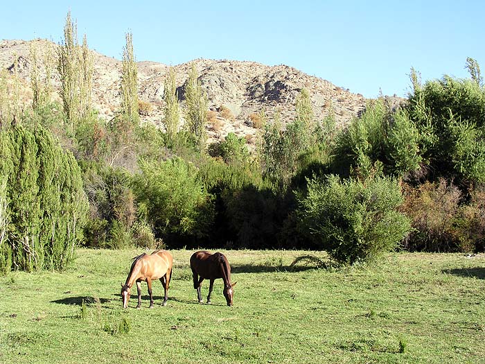 CH0304EP413_hacienda_los_andes.jpg [&copy; Last Frontiers Ltd]