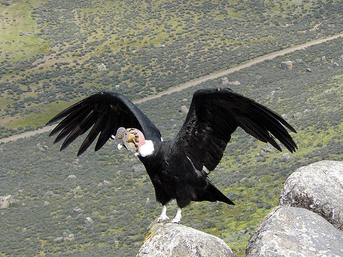 CL1212SM313_torres-del-paine-.jpg [&copy; Last Frontiers Ltd]