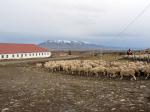 Image: Estancia Cerro Guido - Torres del Paine