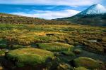 Image: Chungará - Arica and Lauca