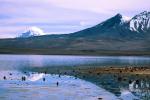 Image: Chungará - Arica and Lauca