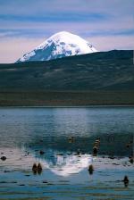 Image: Chungará - Arica and Lauca