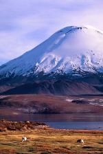 Image: Chungará - Arica and Lauca