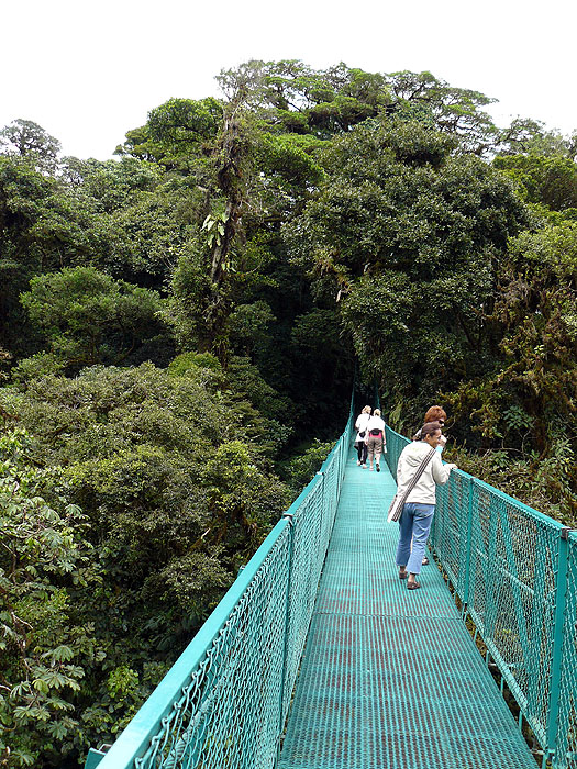 CR0510JF293_selvatura-monteverde.jpg [&copy; Last Frontiers Ltd]