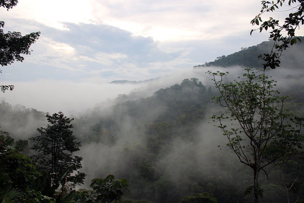 CR0519LD116_turrialba-pacuare-outdoor-center.jpg [&copy; Last Frontiers Ltd]