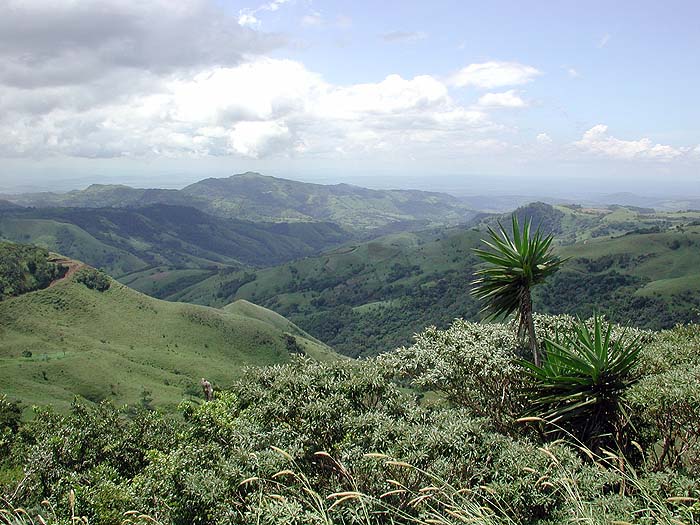 CR1002RH045_monteverde.jpg [&copy; Last Frontiers Ltd]