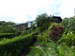 Image: Celeste Mountain Lodge - Rincón de la Vieja and Tenorio, Costa Rica