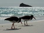 Image: Española - The uninhabited islands
