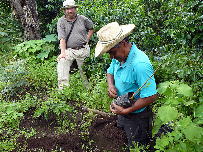 GU0911CB005_as-green-as-it-gets-antigua.jpg [&copy; Last Frontiers Ltd]