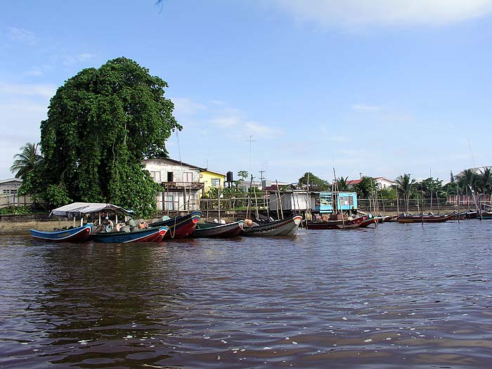 GY0504EP219_bartica.jpg [&copy; Last Frontiers Ltd]