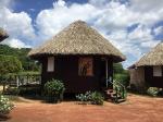 Image: Surama Guest House - The Central forest zone
