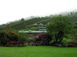 Image: Finca Lerida - Chiriquí Highlands