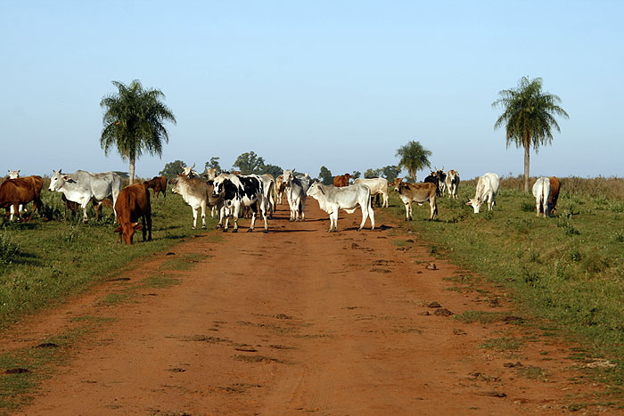 PY0511EM111_estancia-tacuaty.jpg [&copy; Last Frontiers Ltd]