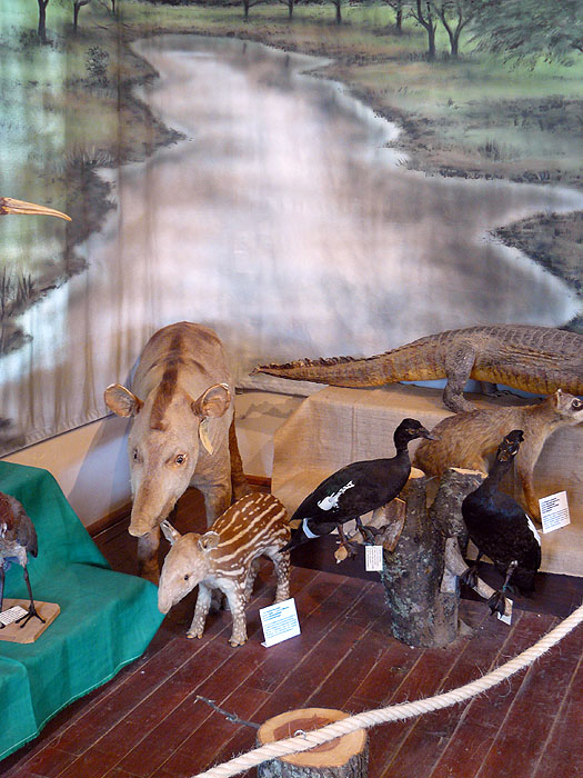 PY0909EP616_filadelfia-museum.jpg [&copy; Last Frontiers Ltd]
