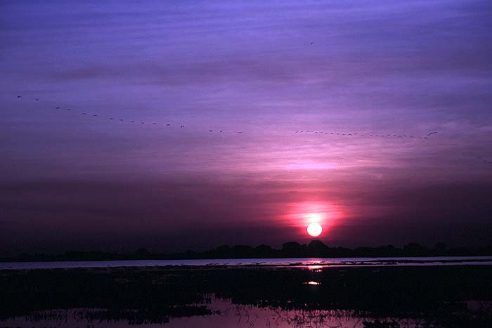 VE0195EP_el_frio_sunset.jpg [&copy; Last Frontiers Ltd]