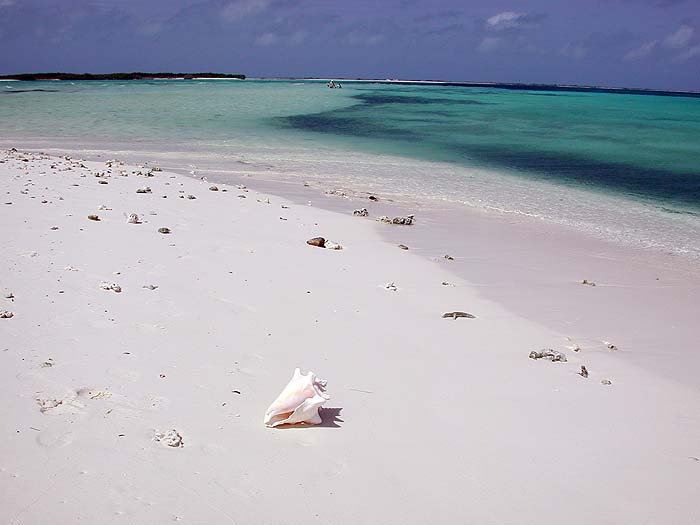 VE0702EP0288_Crasqui.jpg [&copy; Last Frontiers Ltd]