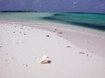 Crasquí - Los Roques, Venezuela